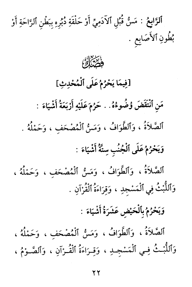 Page 22