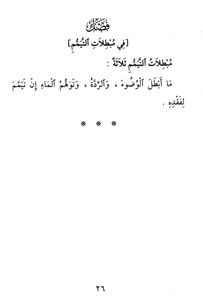 Page 26